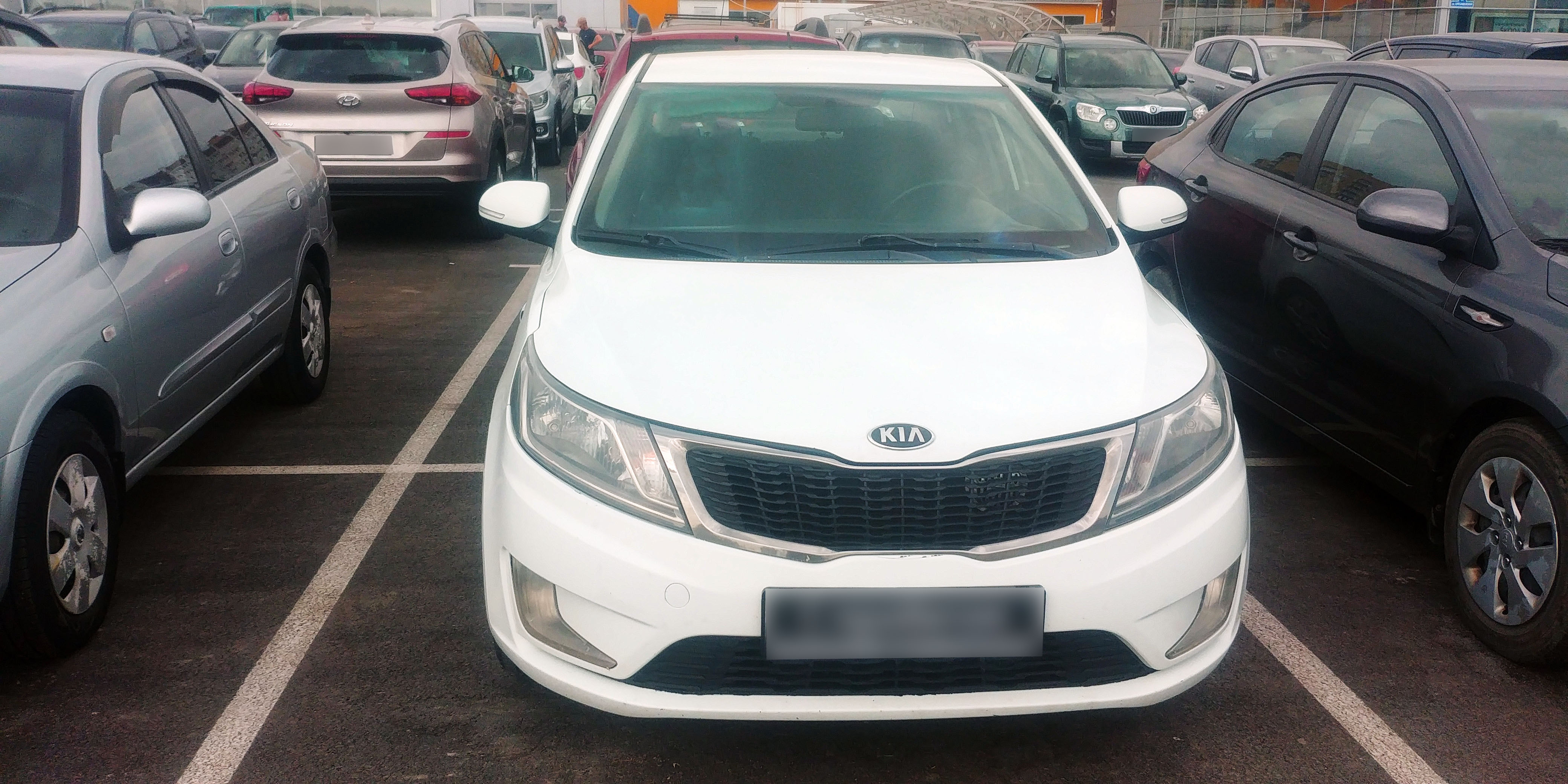 Kia Rio